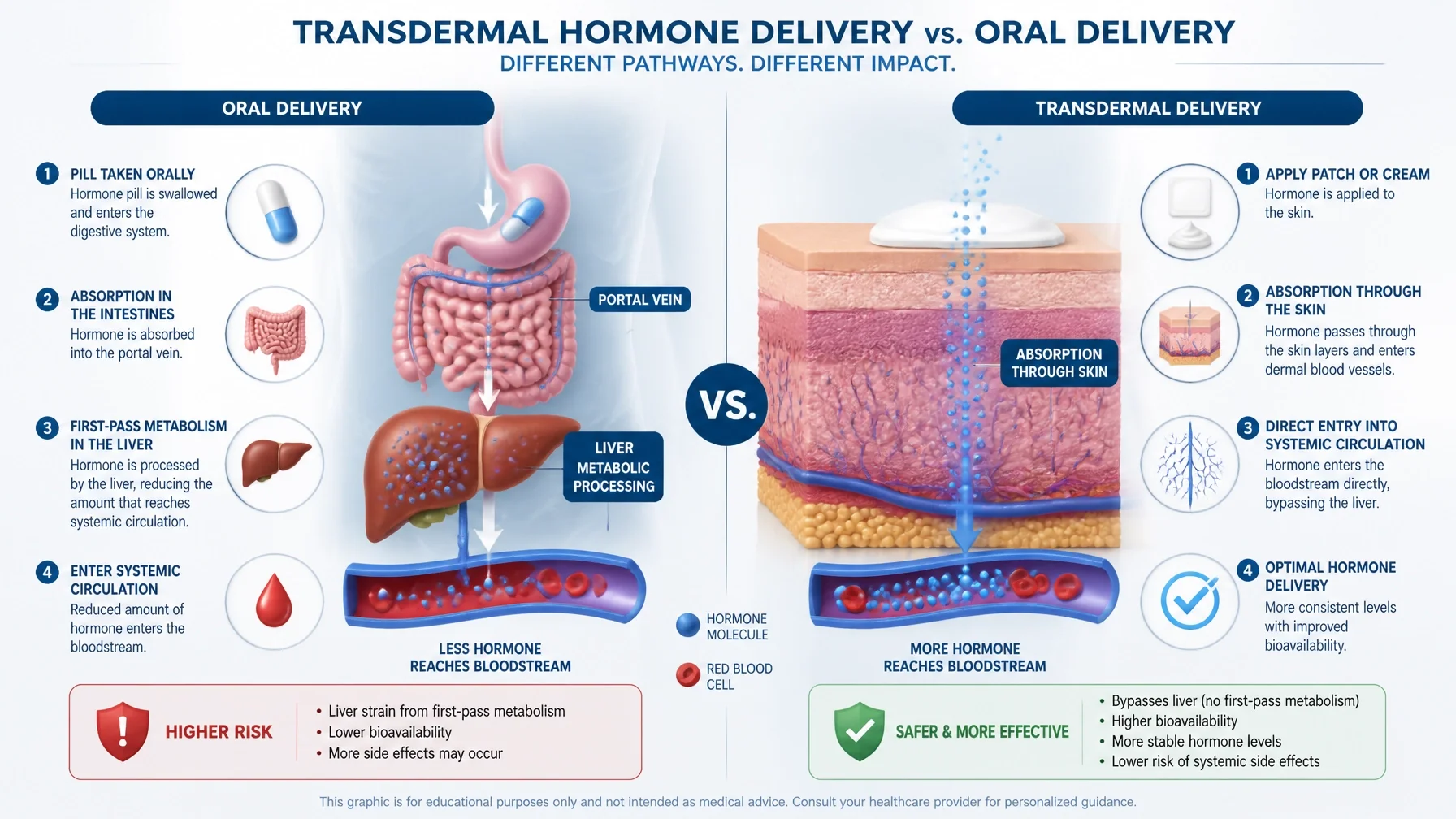 A scientific 3D diagram comparing oral estrogen delivery processed by the liver vs. transdermal delivery bypassing it