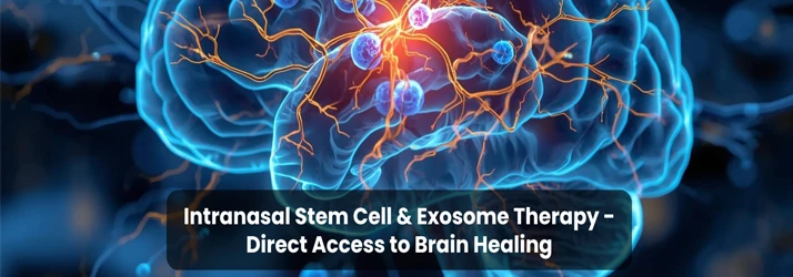 Blue brain network with glowing neural pathways and intranasal stem cell themes; Sarasota branding and Stem-Regen name appear over a vivid brain illustration.