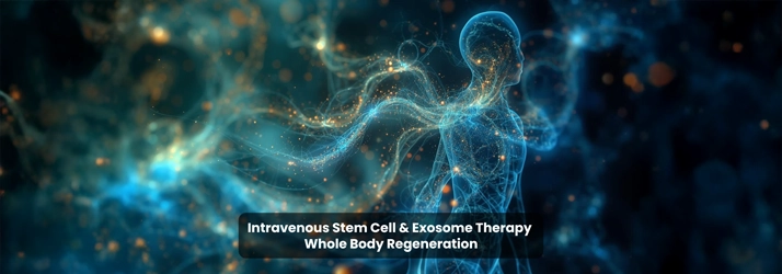 Glowing blue digital humanoid figure with energy streams and particles, symbolizing regenerative medicine and Sarasota's Stem-Regen concepts, related to intravenous stem cell exosome therapy.