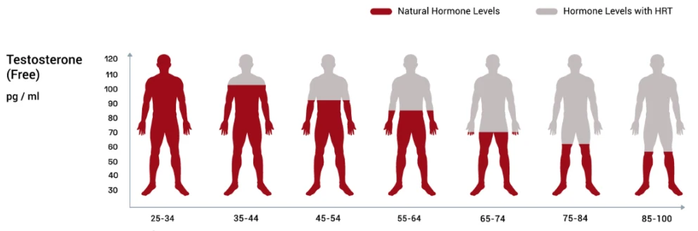 Testosterone-Levels-Image