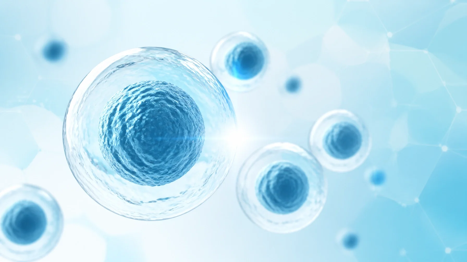 Regenerative medicine Sarasota — cellular regeneration at ARTC Age Reversal Technology Center