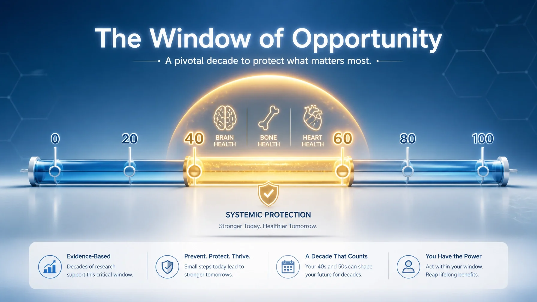 A 3D timeline showing the optimal window of opportunity for menopause hormone therapy in Sarasota between ages 40 and 60